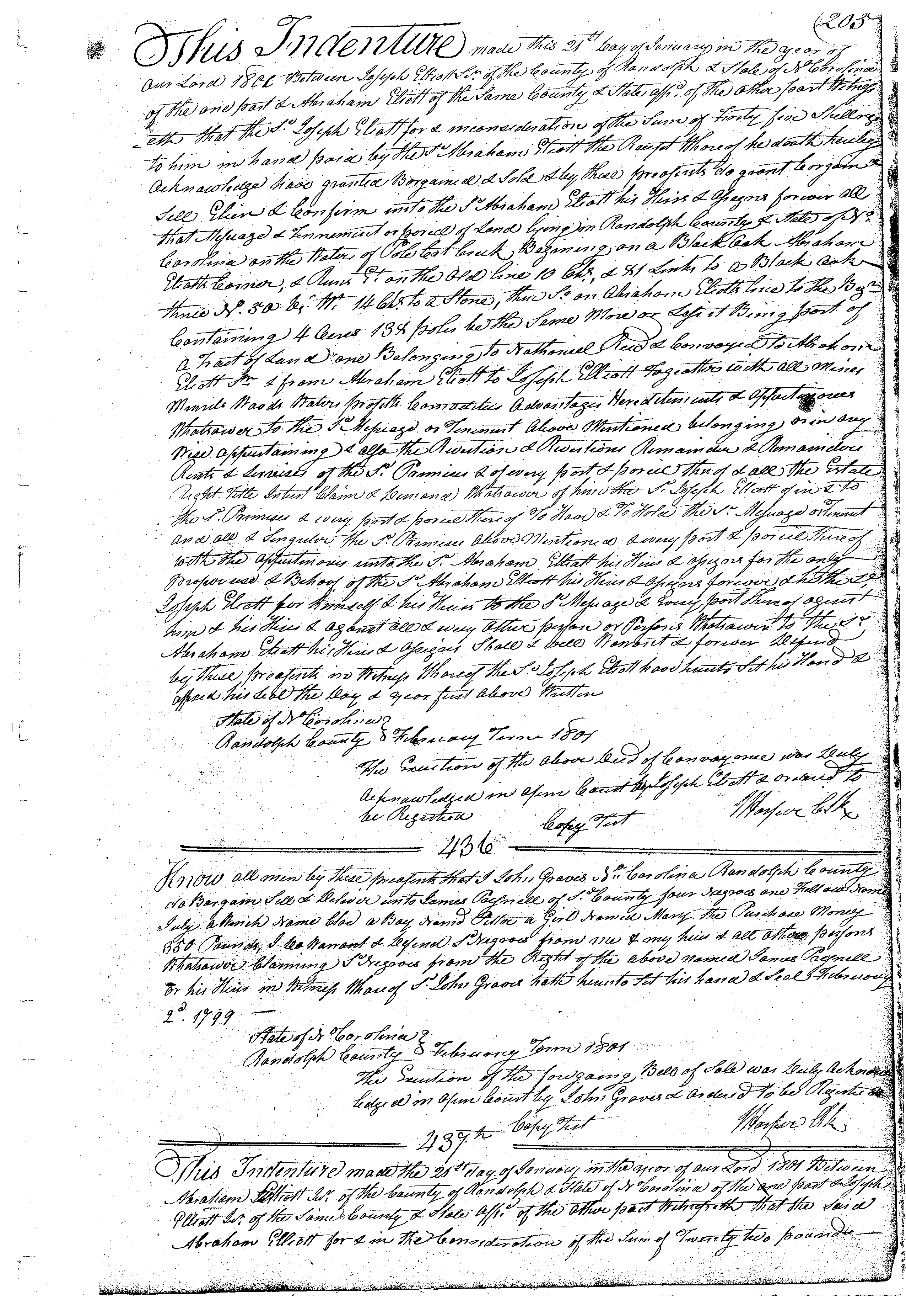 slave deed image