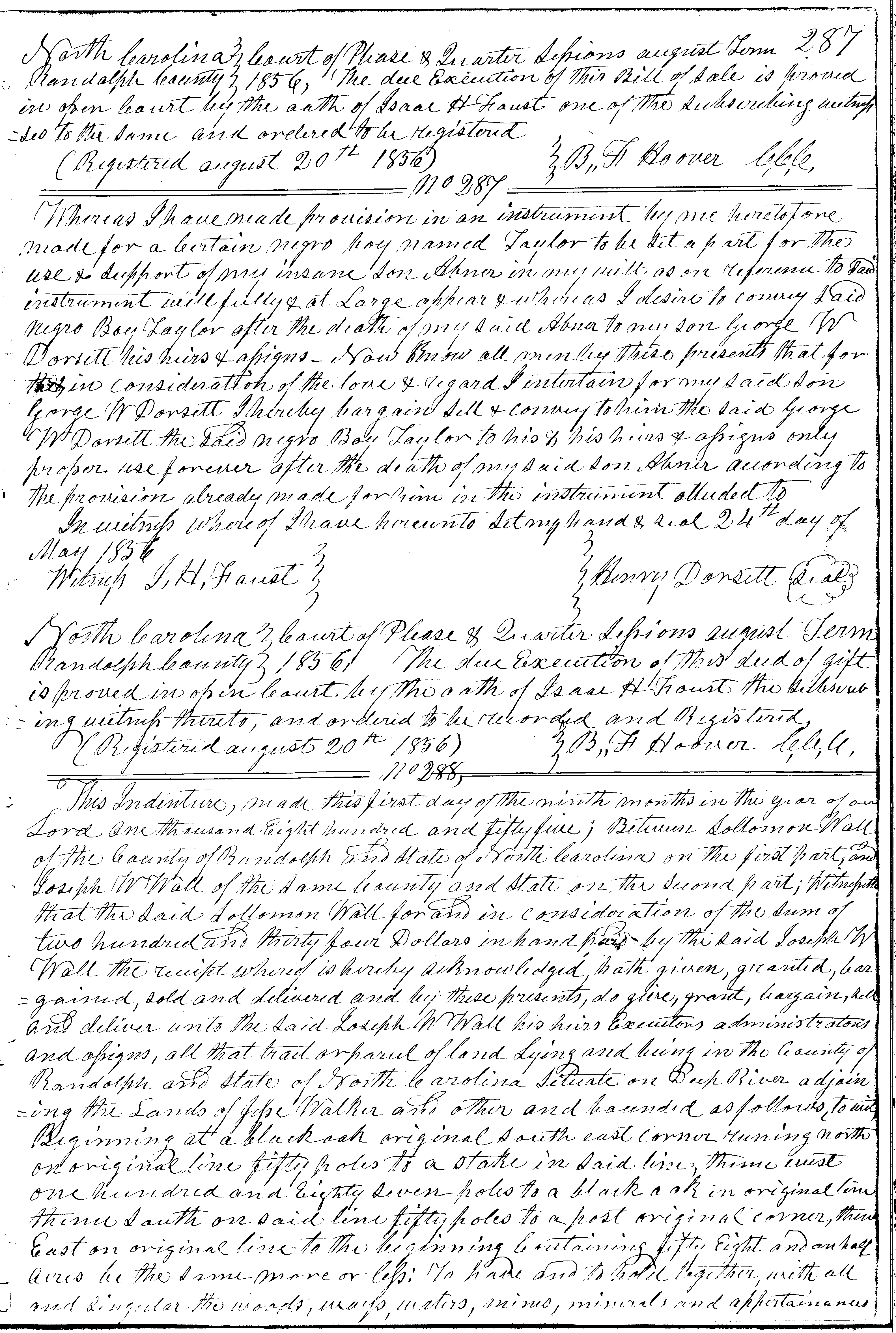 slave deed image