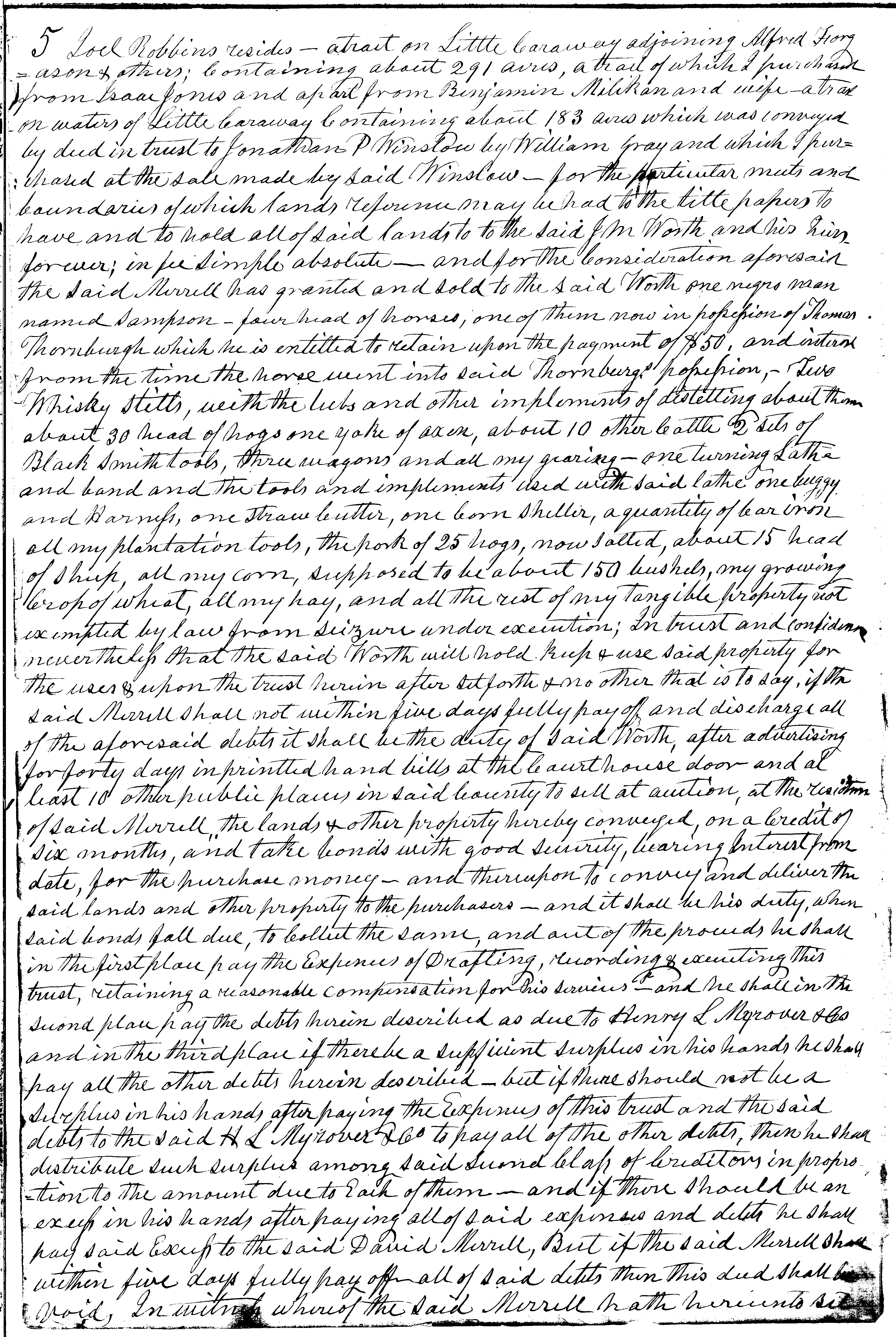 slave deed image